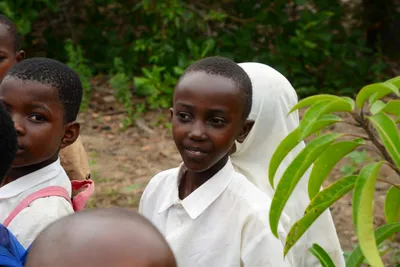 DSC_9417 (Large).JPG